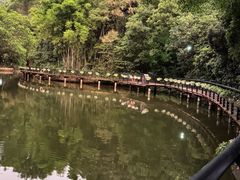 -月亮湾公园