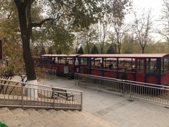 -永定河休闲森林公园