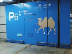 -虹桥综合交通枢纽-P6停车库