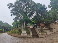 -刘公岛景区