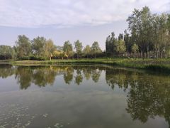 -东郊湿地公园