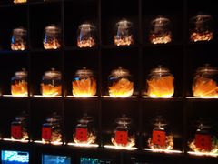 -海立阁海鲜江浙菜(漕河泾印象城店)