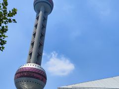 -上海海洋水族馆