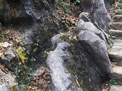 -陶祖圣境风景区