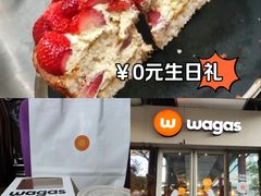-Wagas沃歌斯(正大乐城店)