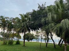 -深圳湾公园(南山区)