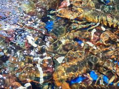 -盒马鲜生(馥邦国际店)