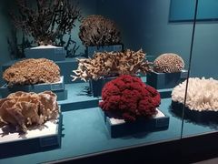 -浙江自然博物院(杭州馆)