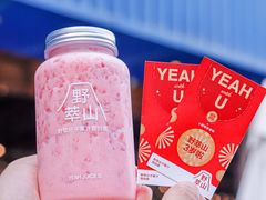 -野萃山·潮汕厚果汁(十亩地店)