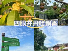 -杭州西湖风景名胜区-满觉陇四眼井
