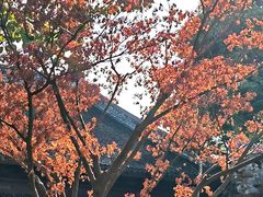 -我嘉书房(南翔名士居店)