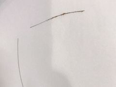 -七叔是岛民(大学城gogo新天地店)
