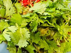 香菜凉皮-魏家凉皮(次渠店)