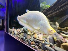 -南昌融创海世界