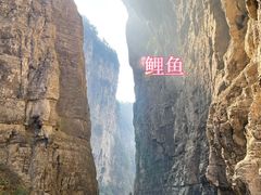 -龙水峡地缝景区