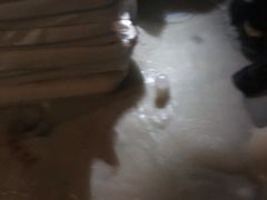 -鑫朱雀农贸批发市场