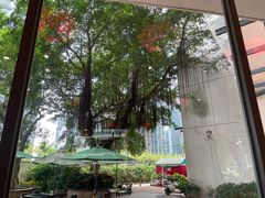 -秦园陕西手工面馆(番禺节能科技园店)