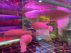 -华声天桥民俗文化园