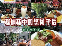 -Fern Forest Cafe