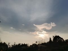 -桤木河湿地公园