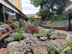 -山菌美食苑(振兴路店)