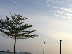 -珍宝海鲜(东海岸海鲜中心)