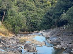 -广州白江湖森林公园