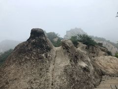 -大岭沟猕猴桃谷风景区