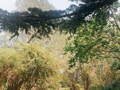 -国家植物园南园