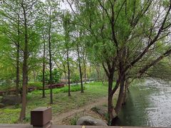 -蠡湖中央公园