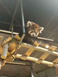 点击看大图 -Zoolung Zoolung动物主题公园(海信广场店)