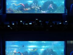 -重庆欢乐海底世界
