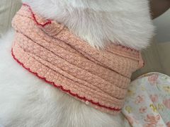 -怪兽屋·羊驼·猫咖·狗咖(俊华广场店)