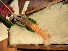 -Mr.Fish鱼鲜生海鲜放题(高德置地冬广场店)