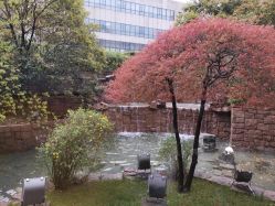 -上海虹桥锦江大酒店·宴会厅