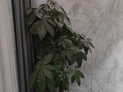 -曜石酒店(北京王府井东四地铁站店)
