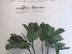 -red donkey coffee