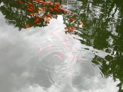 -香山公园