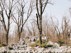 -北京动物园