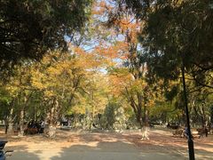 -山东大学(趵突泉校区)