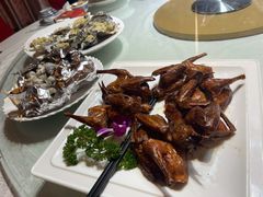 红烧乳鸽-桂哥海鲜城
