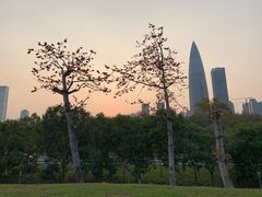 -深圳湾公园(南山区)
