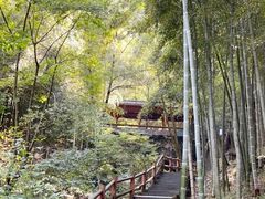 -藏龙百瀑风景区