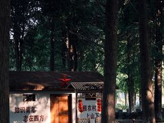 -渌洋湖湿地公园