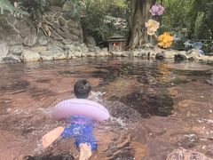 -湖泉半山温泉