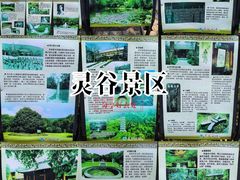 -灵谷景区