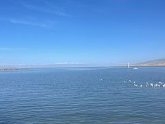 -青海湖国家重点风景名胜区