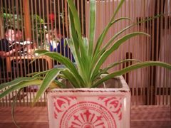 -静颐茶馆·素食(龙华店)