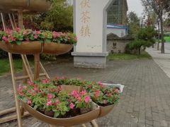-茯茶镇
