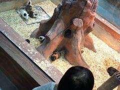 -顺德南宏海立方海洋公园